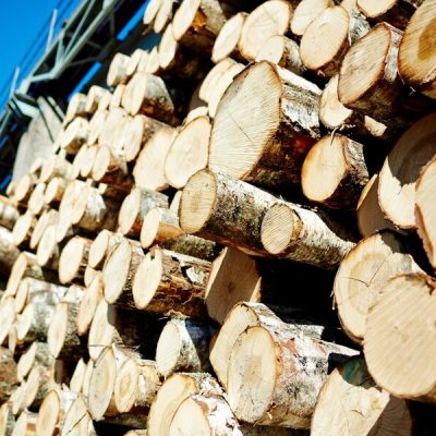 Make Birch Firewood Dry Quickly